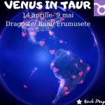 venus in taur
