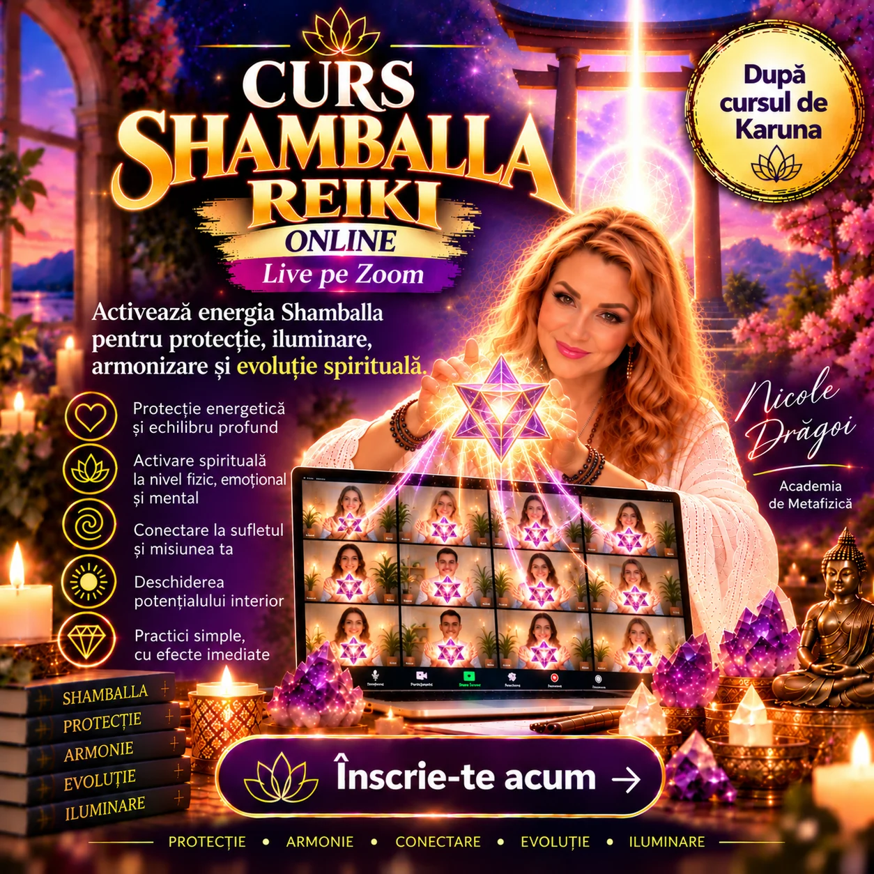 Curs Shambala Reiki